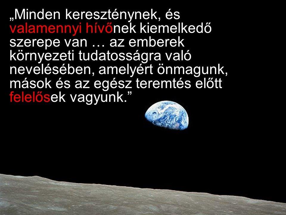 2. fénykép